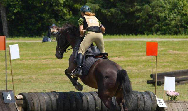 Equestrian Helmet