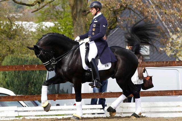 Equestrian helmet