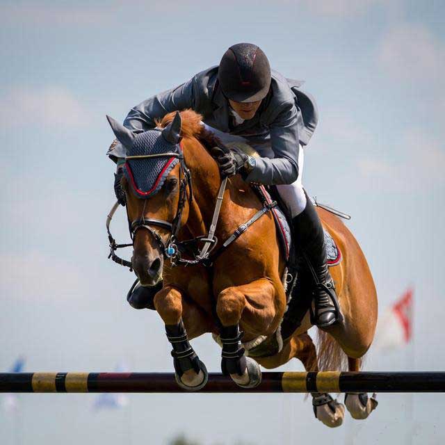 equestrian helmet