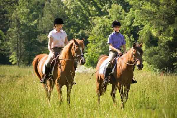 Equestrian Helmet